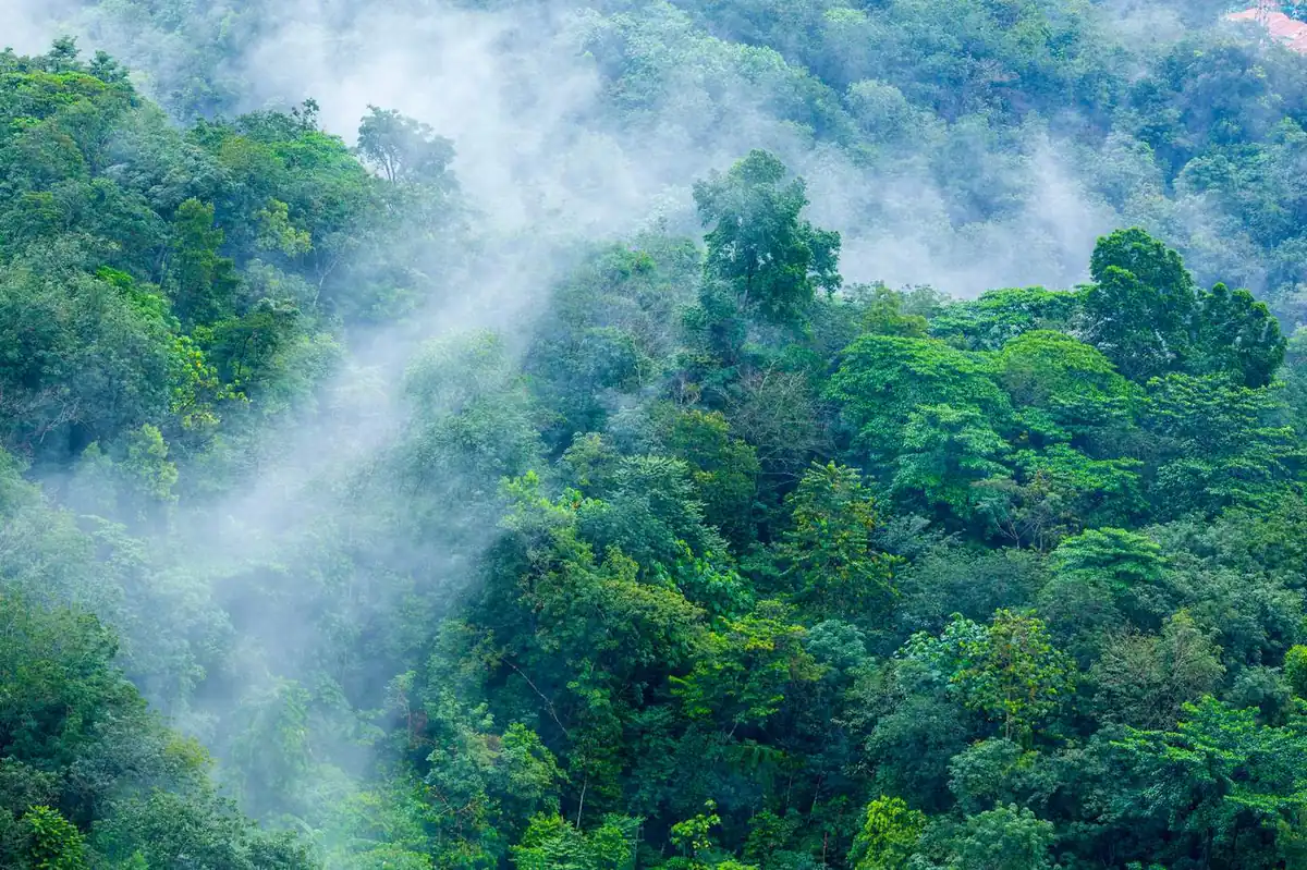 Amazonía colombiana